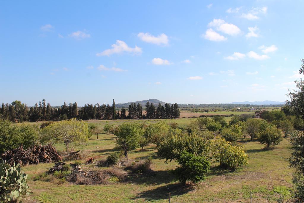 Es Lladoner Villa Porreres Kültér fotó